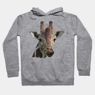 Funny Giraffe - Africa Hoodie